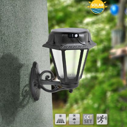 ARM. SOLAR DUVAR ROSETTA SIYAH 4K FG resmi